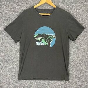 Marine Layer T Shirt Men’s Large Gray Big Sur California Graphic Crewneck Tee